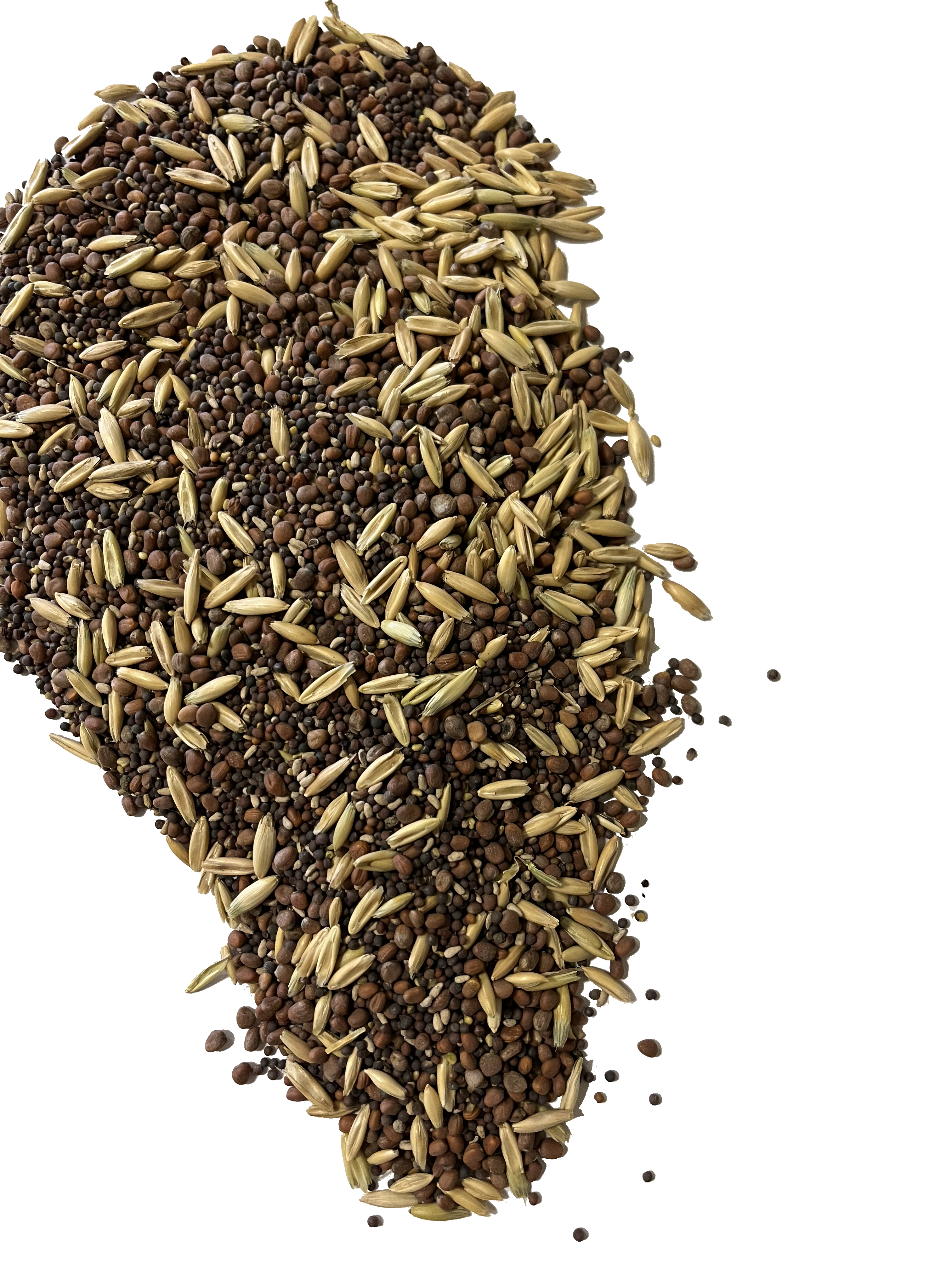 Fall Forage Flush (Seed+Fertilizer, Layer 2)